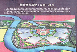 恒大集團現代智能溫室工業(yè)示范園