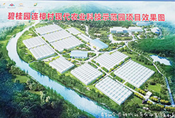 碧桂園連樟村現代農業(yè)示范園項目
